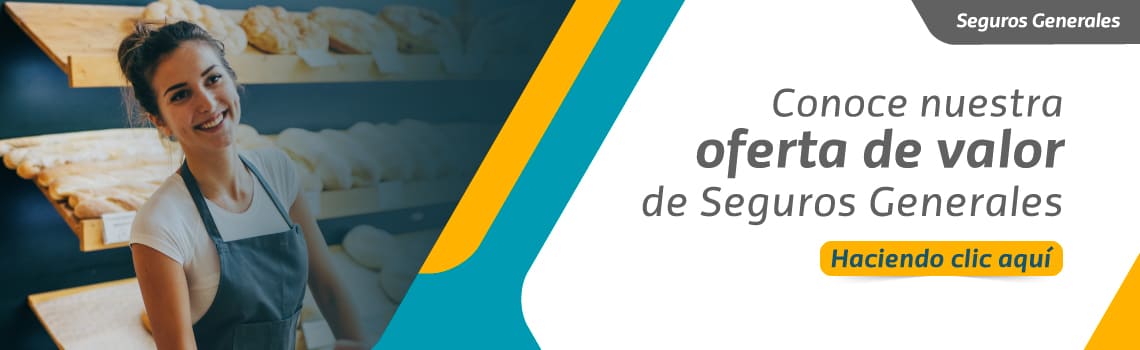 seguros generales