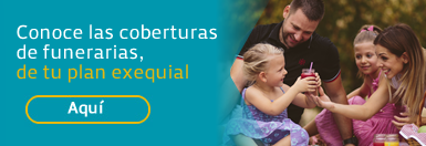 Colmena Gestión